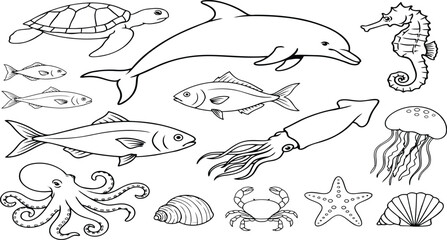 Sea creatures and marine life coloring book line art set with dolphin turtle octopus fish seahorse squid and crab isolated on white background © NARGISJAHAN
