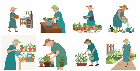 Fototapeta premium Elderly woman gardening and preparing fresh organic vegetables illustration set
