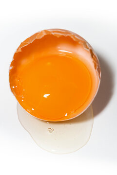 half shell with chicken egg on white background, vertical