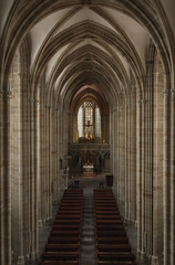 Dom zu Meißen. 
