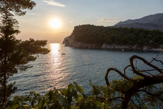 Sunset glow over tranquil coastal bay framed by pine branches, rugged headland, rocky shoreline, and rippled water, creating peaceful seascape with warm reflections and secluded cove