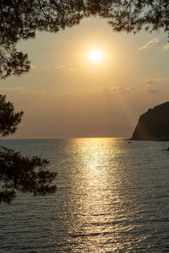 Sunset glow over tranquil coastal bay framed by pine branches, rugged headland, rocky shoreline, and rippled water, creating peaceful seascape with warm reflections and secluded cove