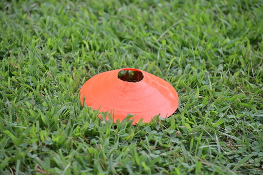 Orange Sports Cone