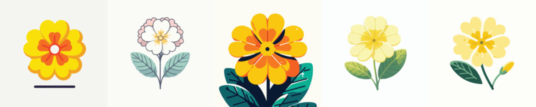 Primrose Flower Vector Illustration