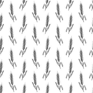 Seamless pattern with hand drawn cereal wheat oat rye barley rice ears spikelet Organic healthy food For decorative print, fabric, package, background