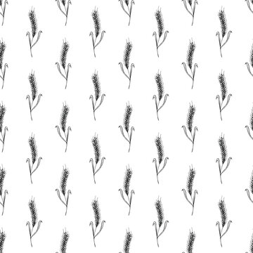 Seamless pattern with hand drawn cereal wheat oat rye barley rice ears spikelet Organic healthy food For decorative print, fabric, package, background