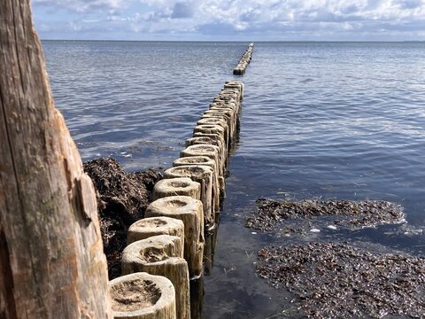 Breakwater on a Baltic Sea beach