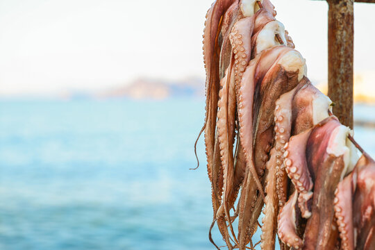 Octopus tentacles hang to dry above the Aegean Sea in Milos, Greece, a traditional Mediterranean practice blending coastal culture and cuisine.