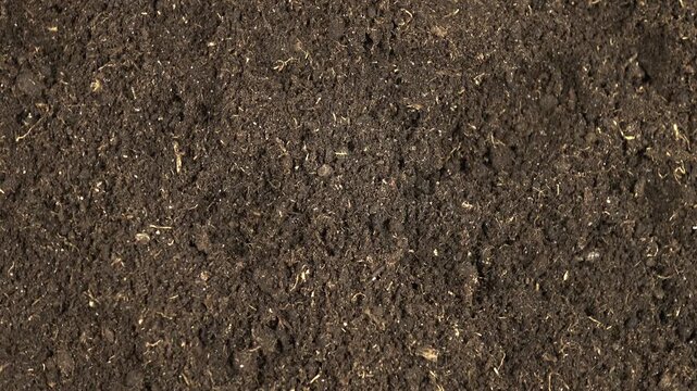 Potting soil, substrate used to grow plants in containers, top view, background