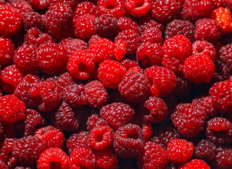 fresh raspberries background, raspberries pattern background, a lot of raspberries © Alina