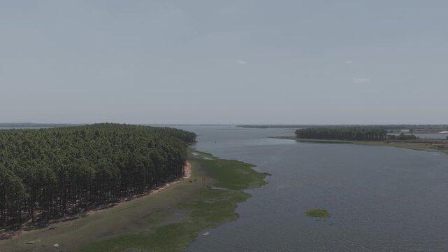 High angle aerial view of lake shore and green woodland, D-Log flat profile drone shot