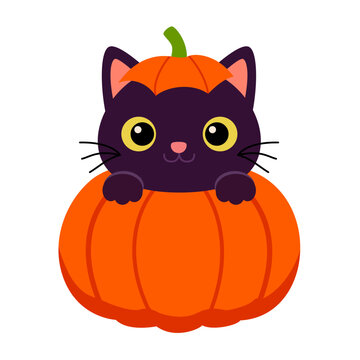 Cute Black Halloween Cat Hiding Inside Pumpkin