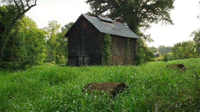 Old Barn