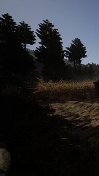 The scene shows a field with dry grass and tall trees under a clear sky. The light from the setting sun creates shadows on the ground. The area is quiet and natural.