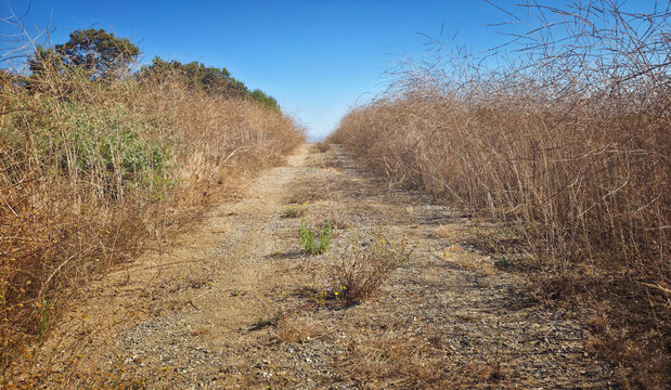 A Dirt Road