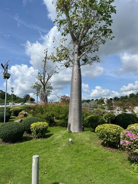 Bandar Seri Begawan is the capital of Brunei, a tiny nation on the island of Borneo.