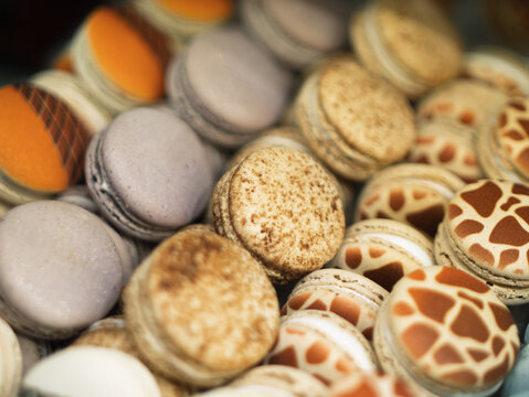 Delicious and Colorful Assortment of Gourmet Macarons