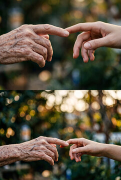 Close-up of two hands touching in a soft natural garden