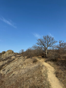 Dirt trail in dry mountain landscape with tree and rocky hill under clear sky.