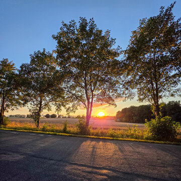 golden sunset shining through roadside trees along a peaceful country road