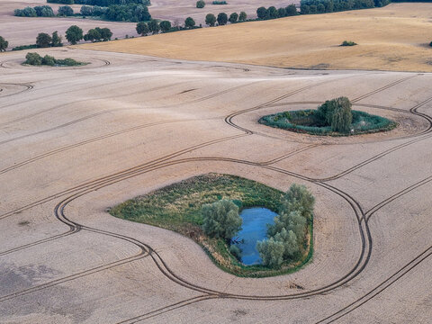 aerial view of small natural ponds surrounded by harvested agricultural fields in the countryside