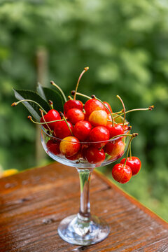 Fresh cherry harvest in a glass outdoors