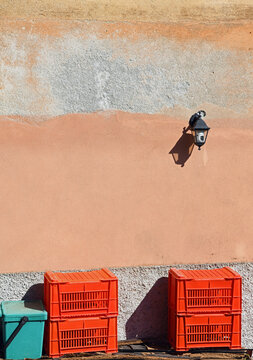 Orange plastic crates used for transporting fruit and vegetables,on a wall of a farmhouse in Pieve Ligure, Italy