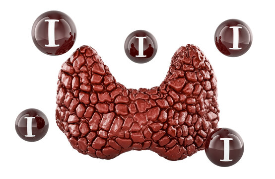 Thyroid gland with iodine symbols, endocrine health concept. 3D rendering