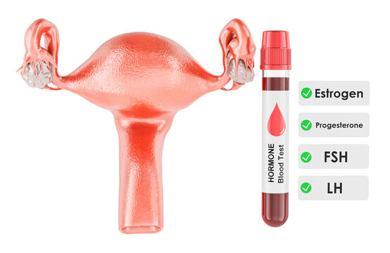 Uterus with ovaries with blood sample tube and hormone checklist for estrogen, progesterone, FSH and LH testing, fertility assessment and reproductive healthcare, 3d rendering