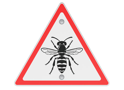 Wasp warning sign for stinging insect hazard. 3D rendering