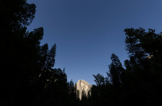 Twilight view of Half Dome framed by pine forest