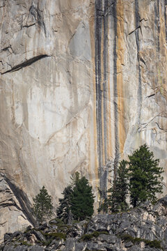 Granite cliff with rock streaks and pines in Yosemite
