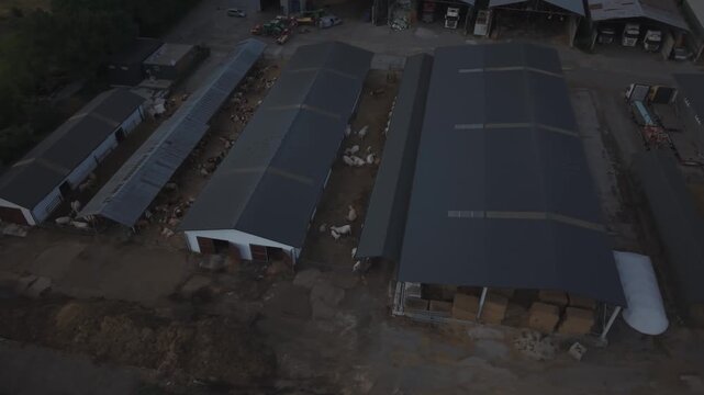 Aerial Orbit Around Cattle Farm and Livestock Barns in Slovakia