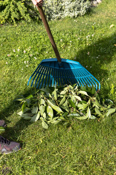 Garden rake collecting branches and leaves on lawn