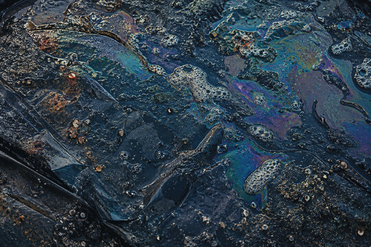 Iridescent Oil Slick for Pollution Cleanup Awareness