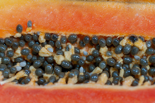 Detailed close-up of papaya interior showing edible black seeds embedded in orange pulp. Natural tropical fruit background with rich texture and vivid colours.