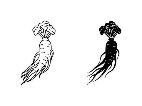 Ginseng Root Vector Icons, Black and White Herbal Medicine Illustrations, Traditional Remedy Plant Graphics