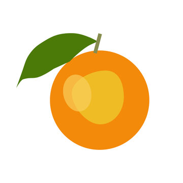 orange fruit isolated on on a transparent background