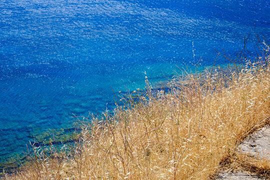 Coastal vegetation and sea at Andros, Greece