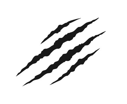 Vector illustration of claw scratches isolated on a white background, depicting sharp animal claw marks and torn scratch
