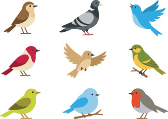 Fototapeta premium Cute colorful wild birds flat vector illustrations set . Collection of isolated flying sparrow, pigeon, flying bluebird, robin, generic nature design elements .
