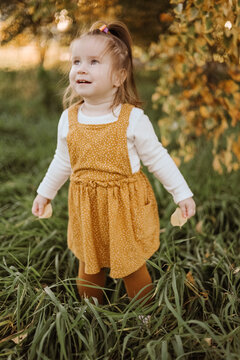 Toddler girl in autumn orchard holding fallen leaves
