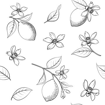 Seamless citrus pattern with yellow lemons and flower.