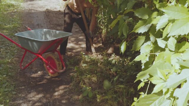 Digging the earth, transporting the earth, transporting the earth, garden wheelbarrow