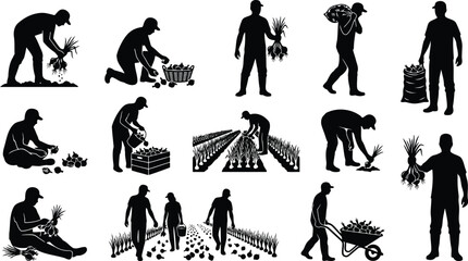 Fototapeta premium Black silhouette of farmers harvesting onions, working in fields, carrying sacks, and using wheelbarrows, isolated on a white background
