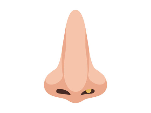 Nasal Polyps or Nose Disease and Disorder