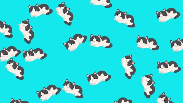 Seamless Pattern of Cute Tuxedo Cats Illustration on Bright Blue Background for Design