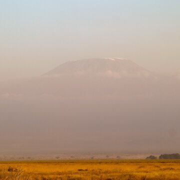 Kilimanjaro mountain peak emerging from dusty savanna landscape