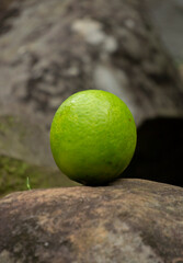 Fresh Green Lime Fruit Resting on Natural Rock Outdoors © m95s