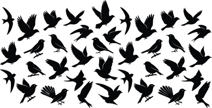 Flock of flying and perched birds black silhouette vector collection isolated on a crisp white background canvas layout.